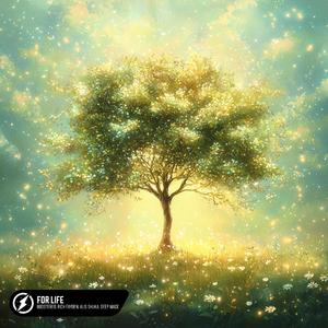 银之守墓人漫画免费阅读
