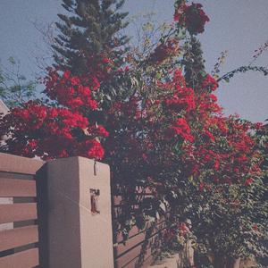 银之守墓人漫画免费阅读
