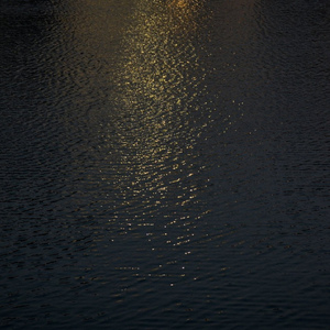 银之守墓人漫画免费阅读
