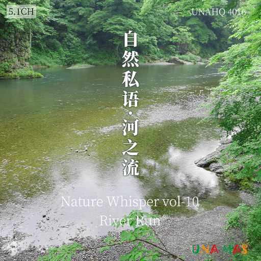 银之守墓人漫画免费阅读
