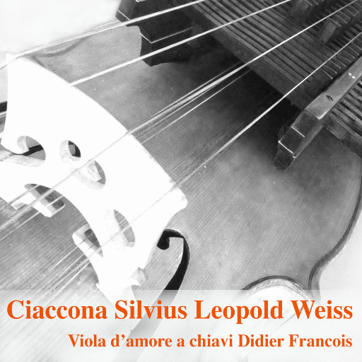 银之守墓人漫画免费阅读
